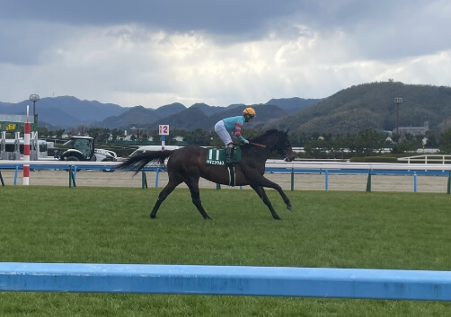 競馬の写真